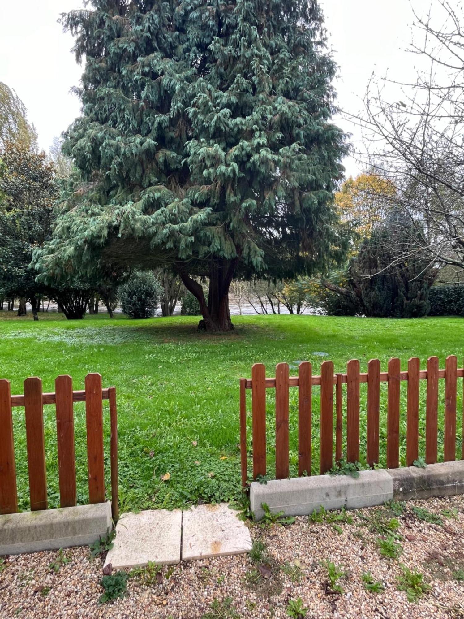 Logement Paisible En Bord De Vienne Bonneuil-Matours Exteriör bild